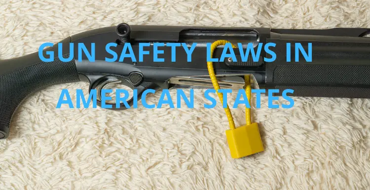 အမေရိကန်ပြည်ထောင်စုတွင် သေနတ်လုံခြုံရေးဥပဒေများ