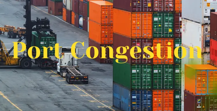 Port Congestion Will Continue Until 2022 Port Congestion Will Continue Until 2022